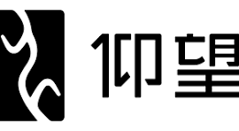 Yangwang logo