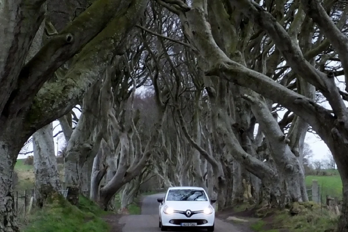 6. Dark Hedges