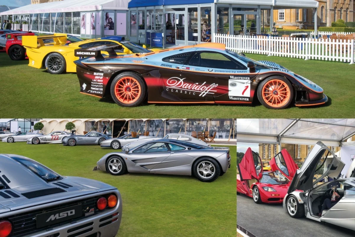 McLaren grid