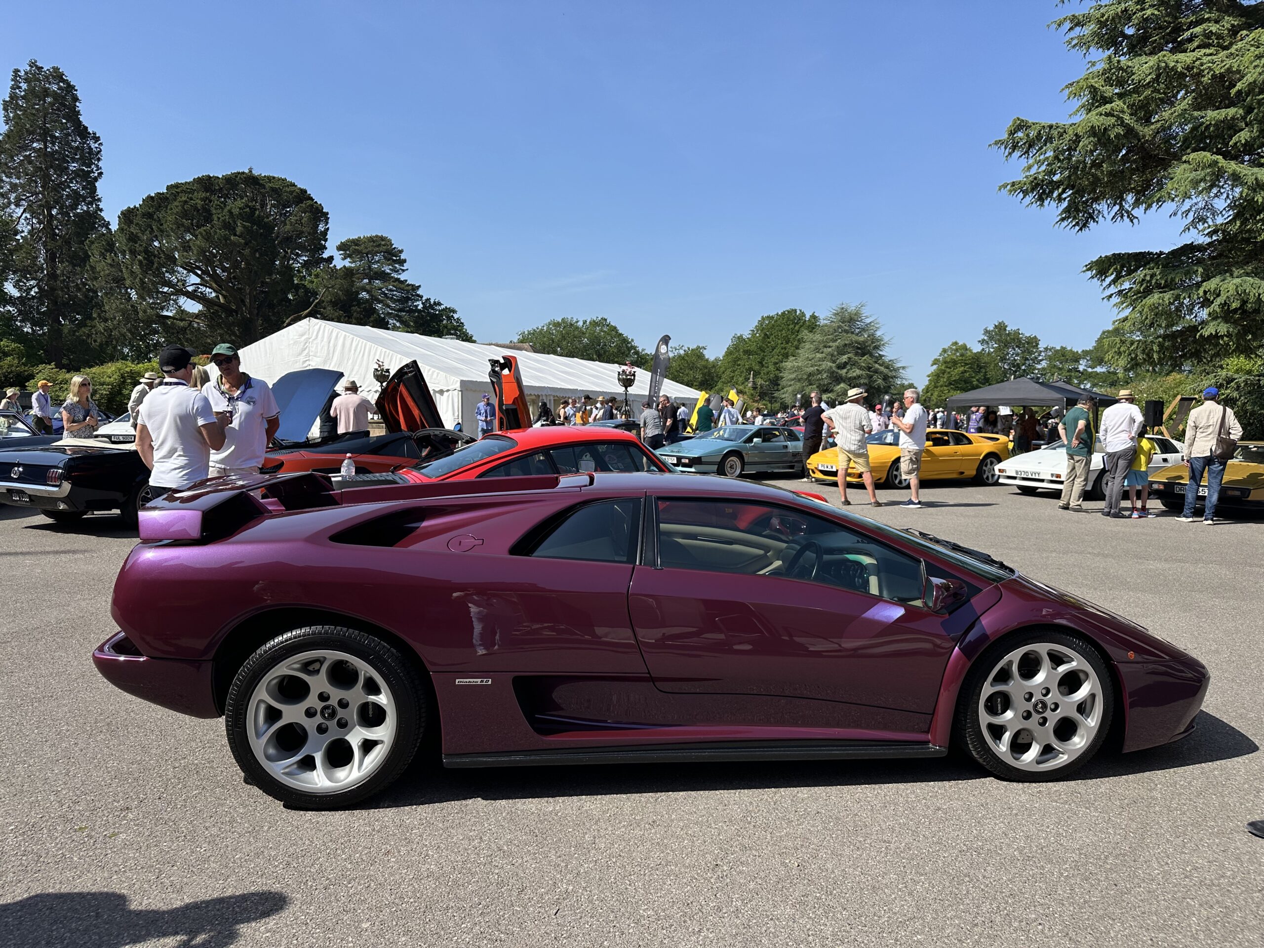Drivers Union Concours 2026 (Lamborghini Diablo VT in Viola Ophelia)