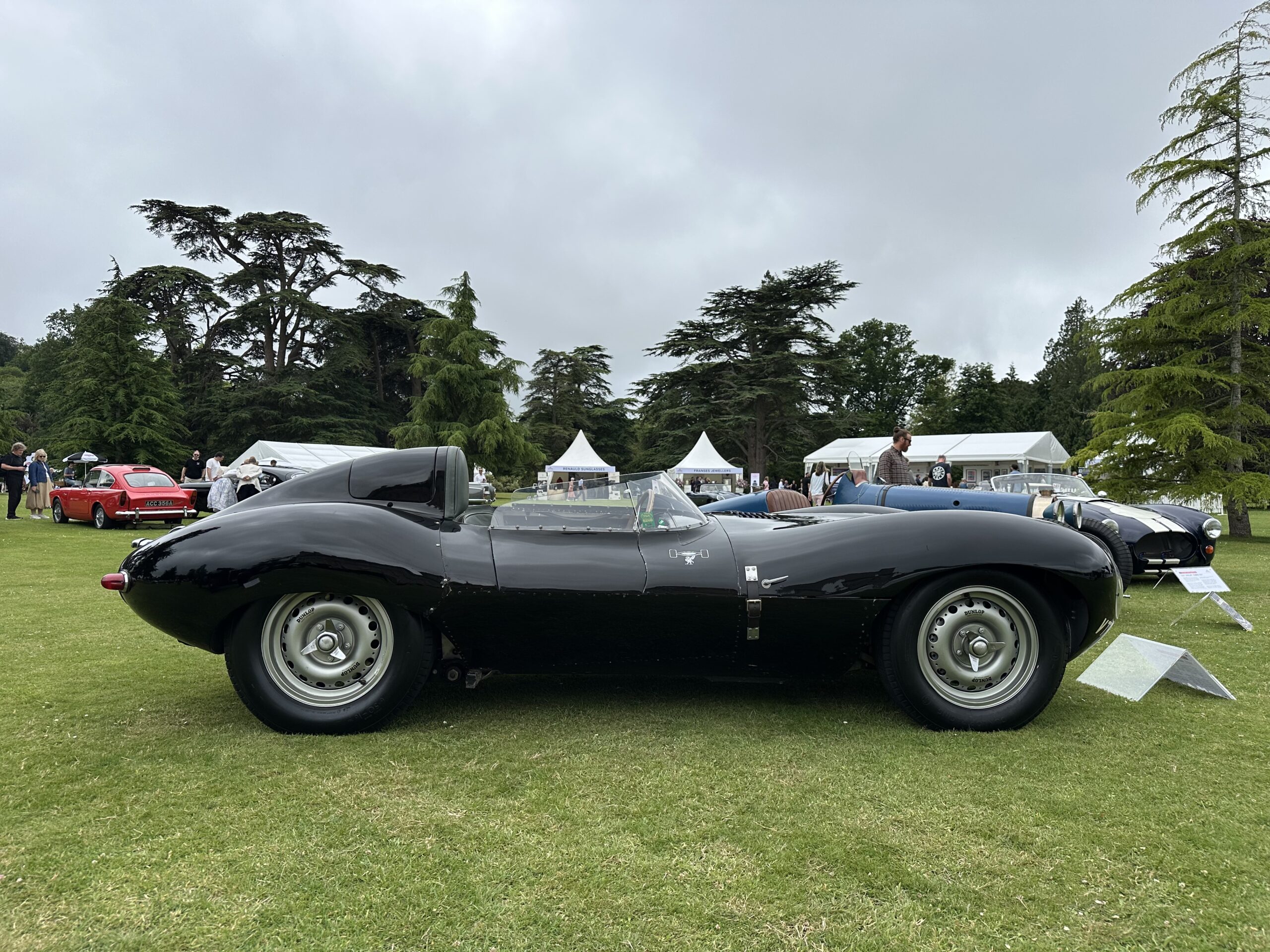 1955 Jaguar D-Type, side view.  At Wilton House Concours Des Legendes 2026.